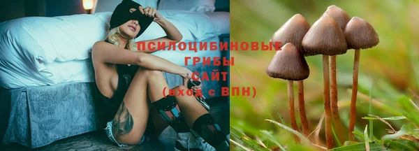 марки nbome Беломорск