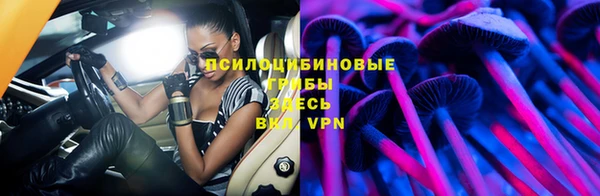 apvp Белокуриха