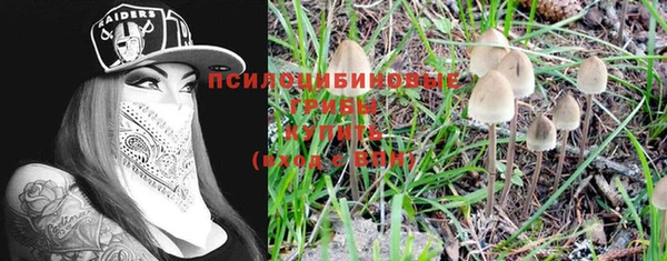 марки nbome Беломорск