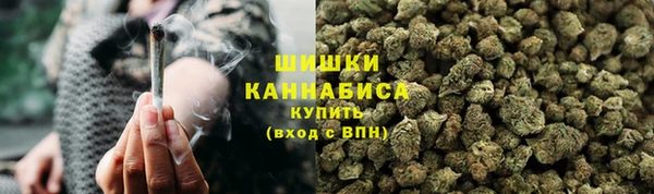 apvp Белокуриха